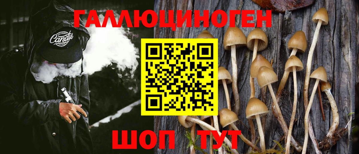 Псилоцибиновые грибы MAGIC MUSHROOMS Ленинск-Кузнецкий